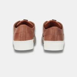 Barbour Lago Trainers Cognac