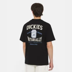 Dickies Elliston Tee T-Shirt Black