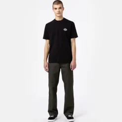 Dickies T-Shirt Holtville Black