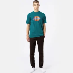 Dickies T-Shirt Icon Logo Graphic Green