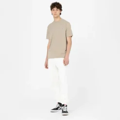 Dickies T-Shirt Mapleton Desert Sand