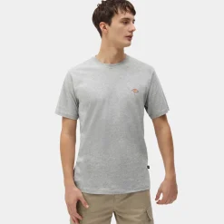 Dickies T-Shirt Mapleton Grey