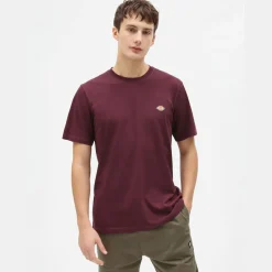 Dickies T-Shirt Mapleton Maroon