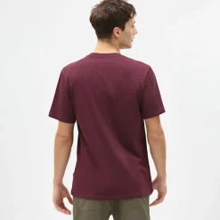 Dickies T-Shirt Mapleton Maroon