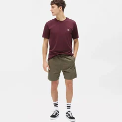 Dickies T-Shirt Mapleton Maroon