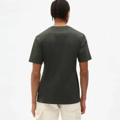 Dickies T-Shirt Mapleton Olive Green