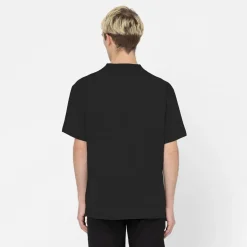 Dickies T-Shirt Porterdale Black
