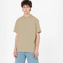 Dickies T-Shirt Porterdale Desert Sand