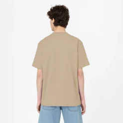 Dickies T-Shirt Porterdale Desert Sand
