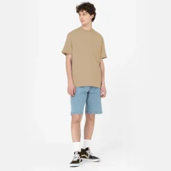 Dickies T-Shirt Porterdale Desert Sand