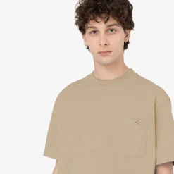 Dickies T-Shirt Porterdale Desert Sand