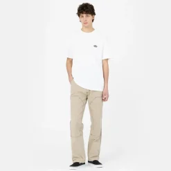 Dickies T-Shirt Summerdale White