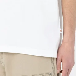 Dickies T-Shirt Summerdale White