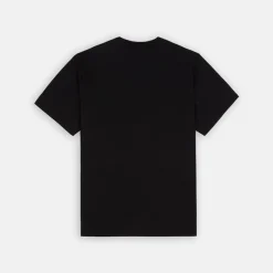 Dickies T-Shirt Summerdale Black