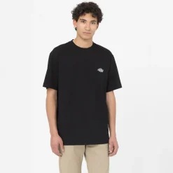 Dickies T-Shirt Summerdale Black
