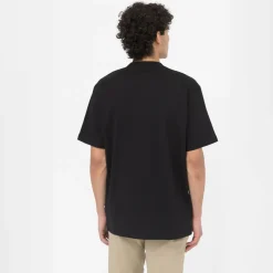 Dickies T-Shirt Summerdale Black