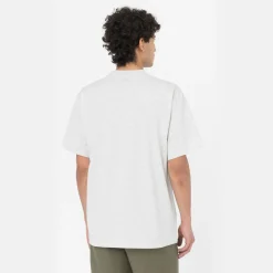 Dickies T-Shirt Summerdale Light Grey