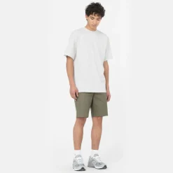 Dickies T-Shirt Summerdale Light Grey