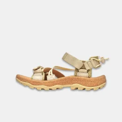 Merrell Women's Speed Fusion Sport RMX Poplar