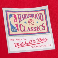 Mitchell & Ness NBA NYN T-Shirt Chicago Bulls Dennis Rodman