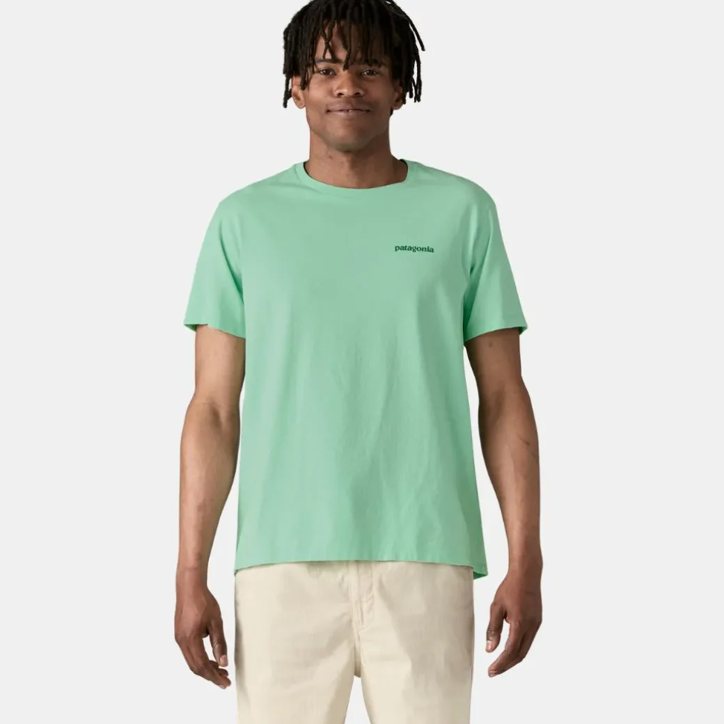 Patagonia Fitz Roy Icon Responsibili T-Shirt Rinsed Green